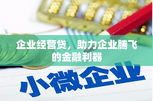 松江企业经营贷，助力企业腾飞的金融利器