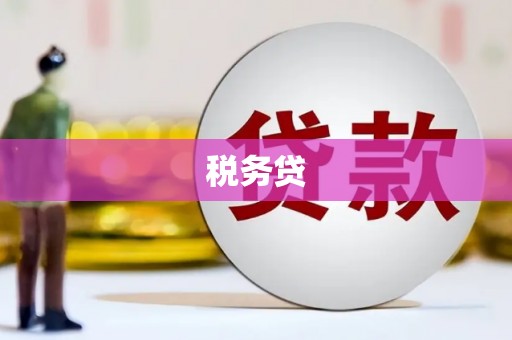 松江税务贷