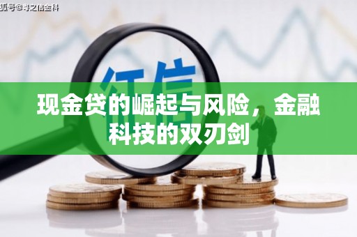 松江现金贷的崛起与风险，金融科技的双刃剑