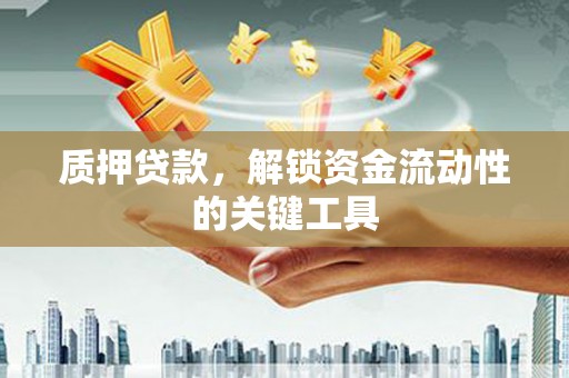 松江质押贷款，解锁资金流动性的关键工具