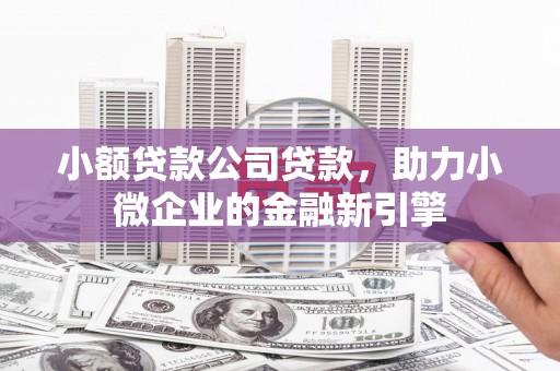 松江小额贷款公司贷款，助力小微企业的金融新引擎