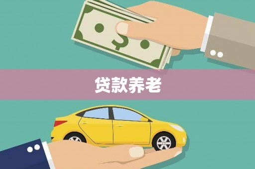 松江贷款养老