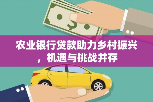 松江农业银行贷款助力乡村振兴，机遇与挑战并存