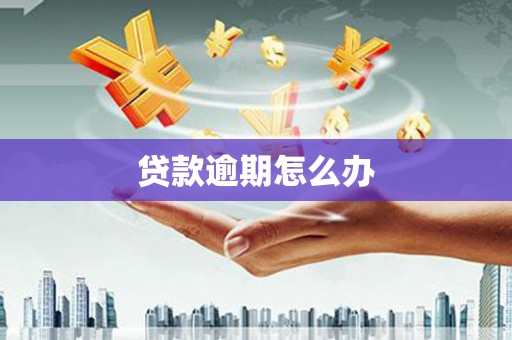 松江贷款逾期怎么办