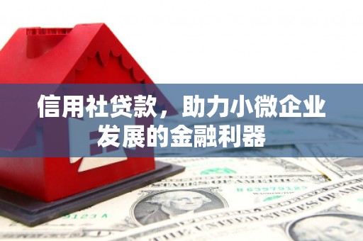 松江信用社贷款，助力小微企业发展的金融利器