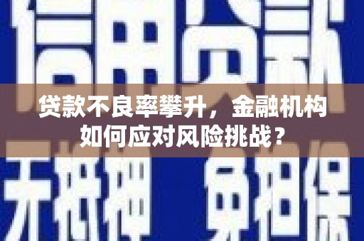 松江贷款不良率攀升，金融机构如何应对风险挑战？