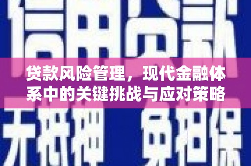 松江贷款风险管理，现代金融体系中的关键挑战与应对策略