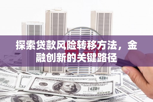 松江探索贷款风险转移方法，金融创新的关键路径