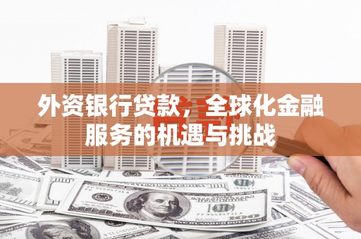 松江外资银行贷款，全球化金融服务的机遇与挑战