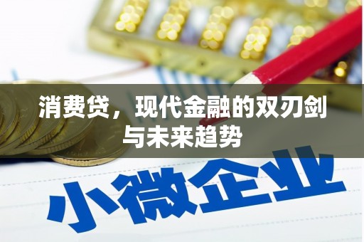 松江消费贷，现代金融的双刃剑与未来趋势