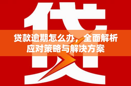 松江贷款逾期怎么办，全面解析应对策略与解决方案