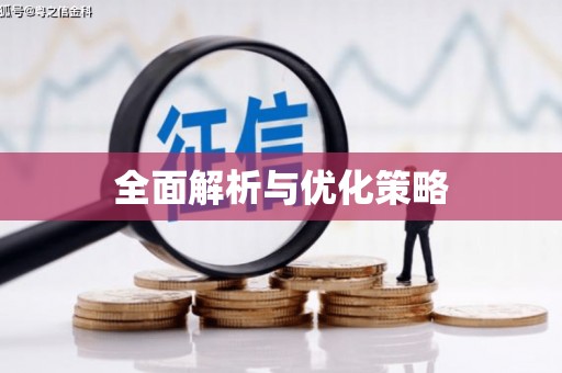 松江全面解析与优化策略